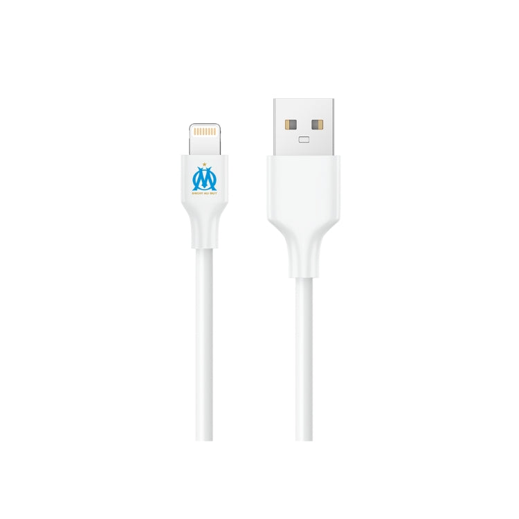 Cable usb - lightning 1 mètre