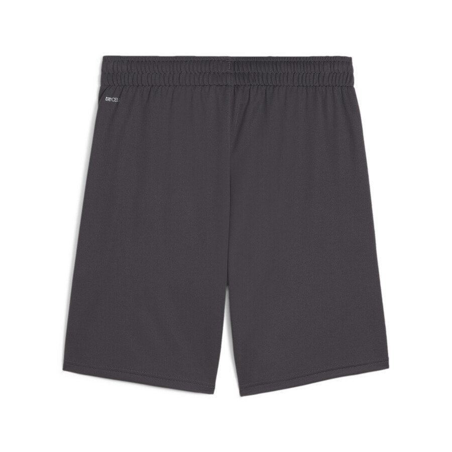 Training Shorts Black/Grey 2023/24